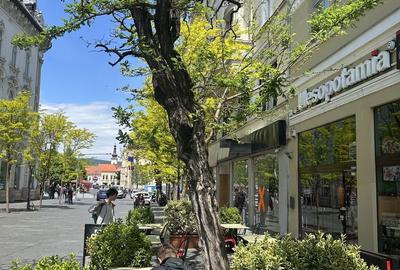 Spațiu comercial, de 280 mp, în Central - 1