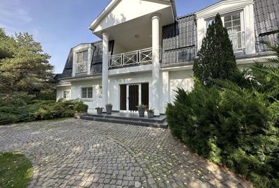 Vila individuala, teren 3000 mp, Iancu Nicolae - 4