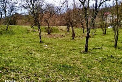 Teren de 5000 mp, în Central - 1