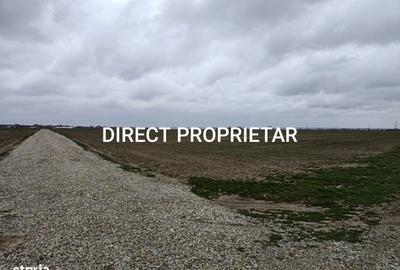 Teren de 9545 mp, în Berceni - 3