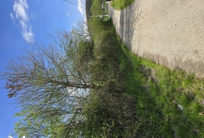 Teren de 6000 mp, în Gurasada - 7