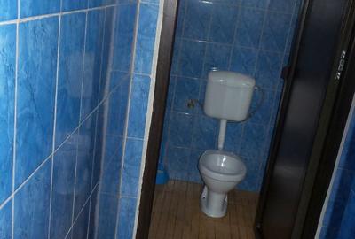 Spațiu comercial, 450 mp în Est - 5