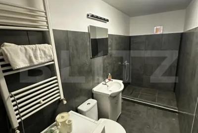 Apartament cu 2 camere decomandat, mobilat în Brazda lui Novac - 3