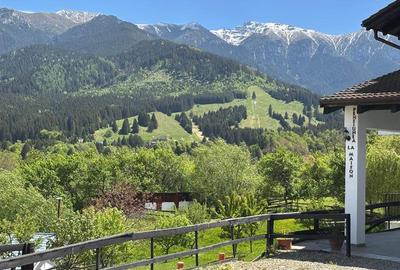 Hotel/Pensiune, de 250 mp, în Bran - 22