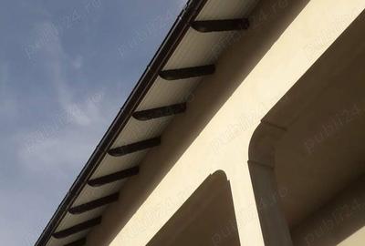 Casă cu 6 camere cu Teren 4000 Mp în Mereni - 4