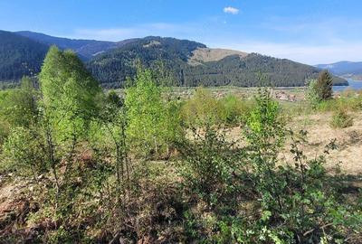 Teren de 5000 mp, în Ceahlău - 2