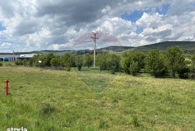 Teren de 13783 mp, în Florești - 7