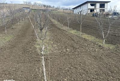 Teren de 1724 mp, în Popricani