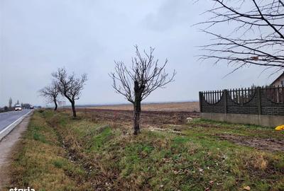 Spațiu comercial, în Nojorid - 5