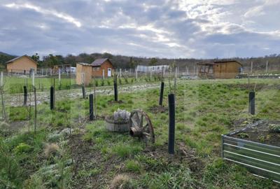 Teren extravilan, de vanzare, 721 mp, zona Valea Stanelor - 6