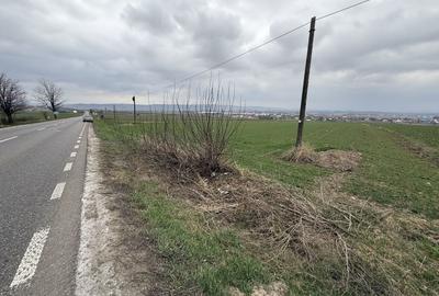 Teren Construcții intravilan de 3255 mp, în Grănicești - 7