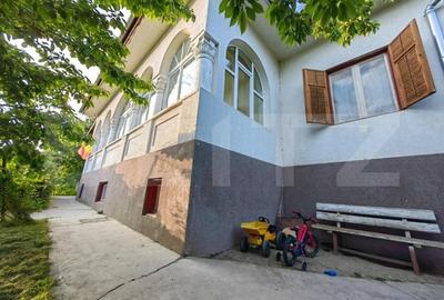 Conac boieresc, 4ha de teren si cladire pretabila pentru Agropensiune, zona Șard - 3