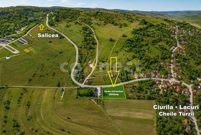 Teren Construcții intravilan de 2942 mp, în Ciurila - 1