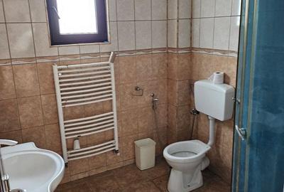 Spațiu industrial, de 540 mp, în Afumați - 12