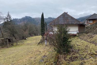 Spațiu comercial, în Roșeni - 5