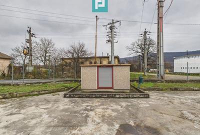 Hală de producție, cu birouri și teren, în Sebiș - 18