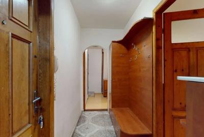 Apartament cu 3 camere semidecomandat, mobilat în Gorjului - 12