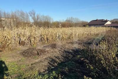 Casă cu 3 camere cu Teren 4900 Mp în Central - 7