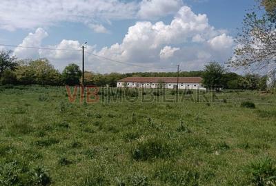 Teren de 301252 mp, în Biled - 7