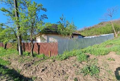 Casa si teren-com. Licurici, loc. Negreni, jud Gorj - 4