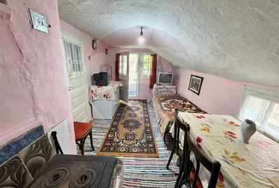 Casa traditionala cu potential de vanzare-HEMEIUS - 13
