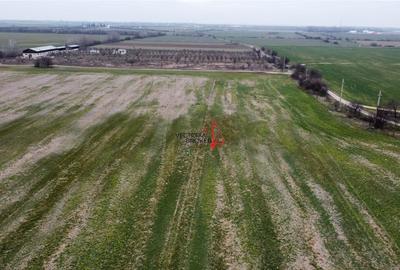 Teren extravilan 5.800 mp in Cornetu, ideal pentru investitie