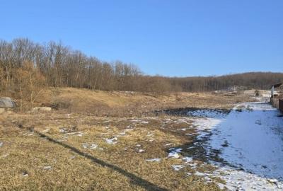 Teren 1 ha, deschidere spre padure, Sanduleni - 1