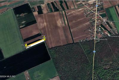 Moara Vlasiei - langa Padurea Biglaru, 11.884 mp, deschidere 40 ml! - 5