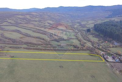 Teren agricol extravilan de 5800 mp, în Purcăreni - 1