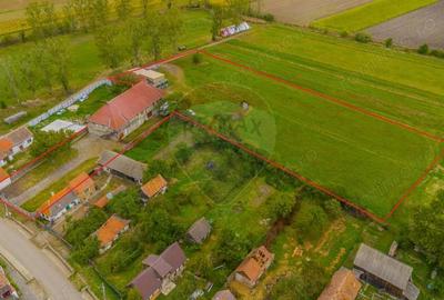 Casă cu Teren 7000 Mp în Dobolii de Jos