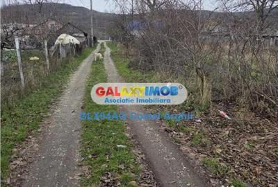 Teren de 1000 mp, în Călinești