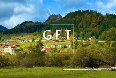 Teren de 6000 mp, în Colibița - 6