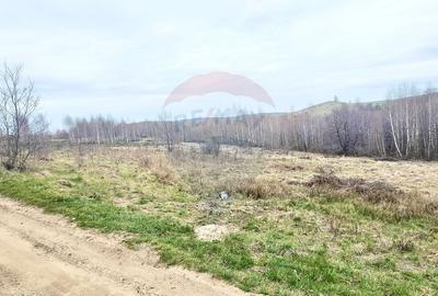 Teren intravilan, zona Casele Micesti - 4