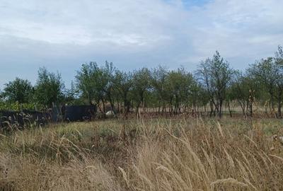 Casă cu 2 camere cu Teren 3100 Mp în Diculești - 8