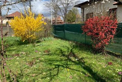 Casă 122 mp+garaj,  teren 1771 mp-Campina aproape de școala centrală! - 18