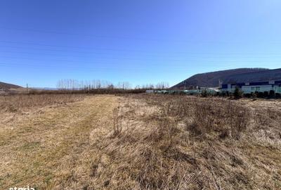 Spațiu comercial, în Crainimăt - 10