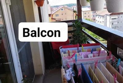 Apartament cu trei camere zona Bradet - 9