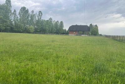 Spațiu comercial, în Horodnic - 2