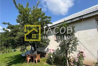 Casa cu 1690 mp teren, vie pe rod, comuna Sarata, jud. Bacau - 4
