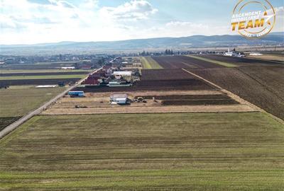 Teren Construcții intravilan de 2498 mp, în Chilieni - 16