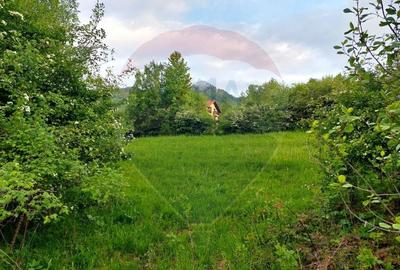 Teren Construcții intravilan de 4223 mp, în Tohănița - 6