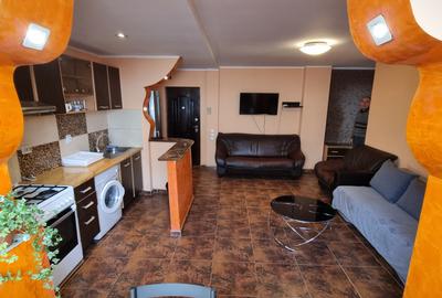 Apartament cu 2 camere semidecomandat, mobilat în Unirii - 3