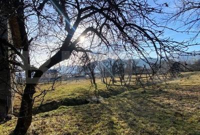 Casă cu 4 camere în Prundu Bârgăului - 4
