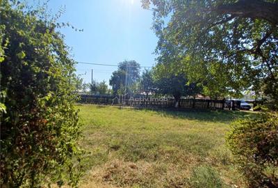 Casa Bila Ghimpati- Giurgiu - 11