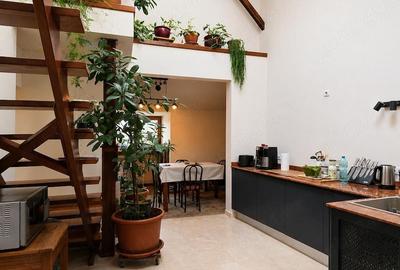 Apartament cu 6 camere decomandat în Ferdinand - 9
