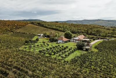 Proprietate specială, de 1,000 mp, în Ghioroc - 4