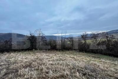 Teren de 4300 mp, în Vințu de Jos - 6