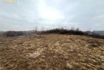 Teren Construcții extravilan de 905 mp, în Sigmir - 1