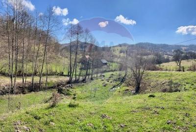 Teren agricol extravilan de 7495 mp, în Bârsana