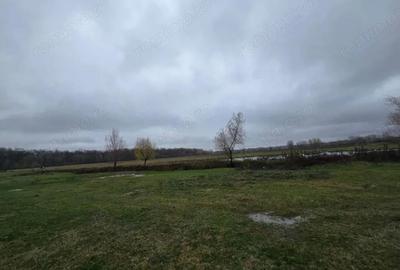 Teren 100.000 mp, Recea-Albota - 5